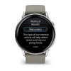 Garmin Venu 4 45мм Silver с Silver Gray силиконова каишка 5