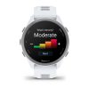 Garmin Forerunner 170 Whitestone с Whitestone/Cloud Blue каишка 1